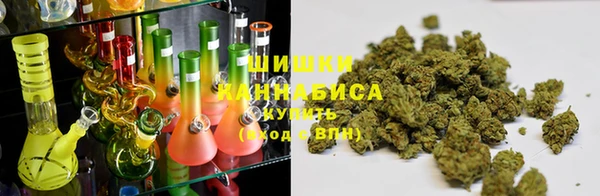 стаф Каменногорск
