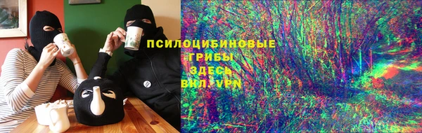 СК Каменск-Шахтинский