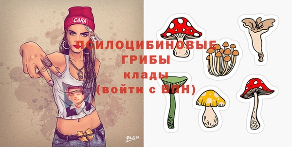 экстази Каменка