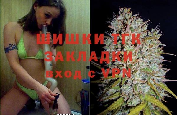 СК Каменск-Шахтинский